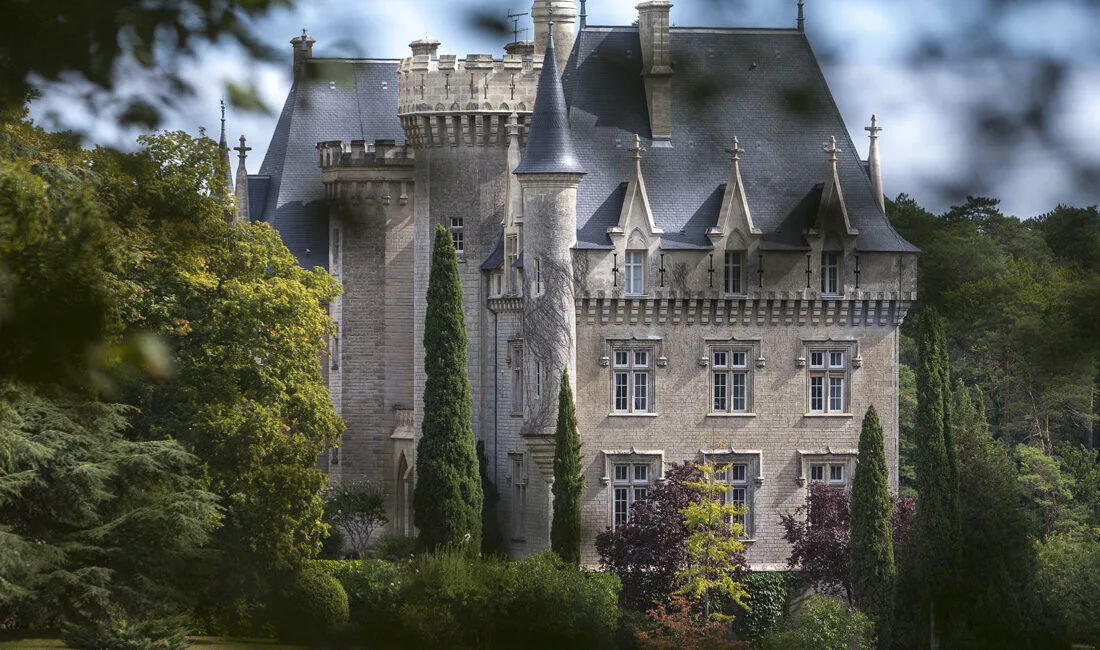 Château de Pitray Бордо — виноградник iWinemaker, именные лозы, аренда виноградника во Франции в подарок